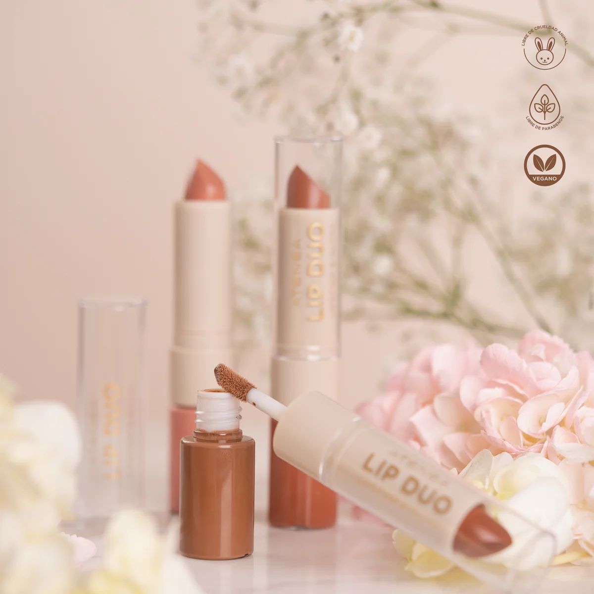 LIP DUO LIPSTICK Y GLOSS COLLECTION
