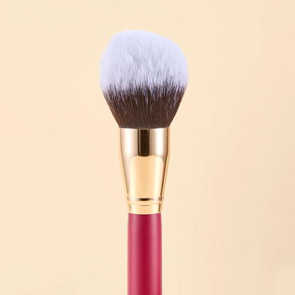 KIT DE BROCHAS SCARLET ROSTRO X9