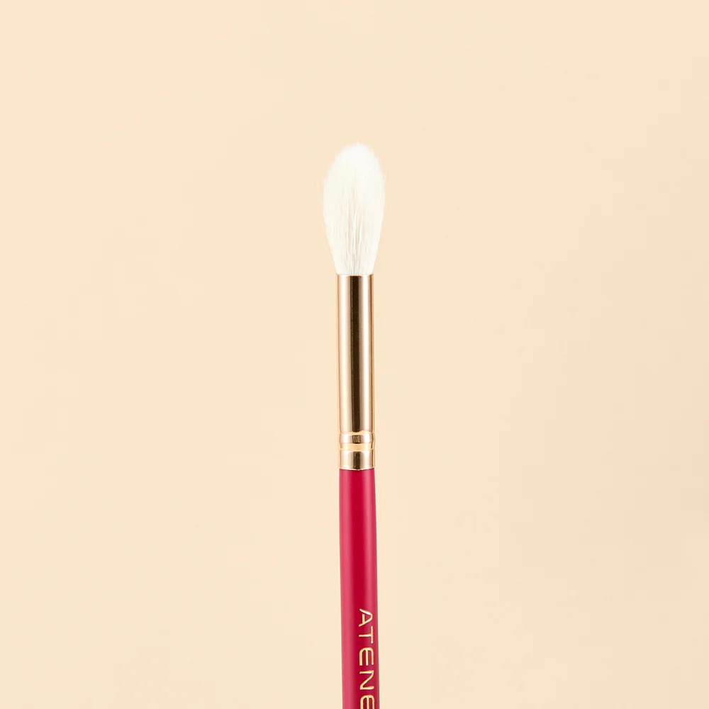 KIT DE BROCHAS SCARLET ROSTRO X9