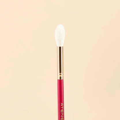 KIT DE BROCHAS SCARLET ROSTRO X9