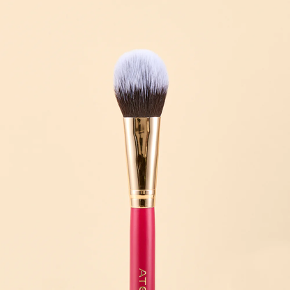 KIT DE BROCHAS SCARLET ROSTRO X9