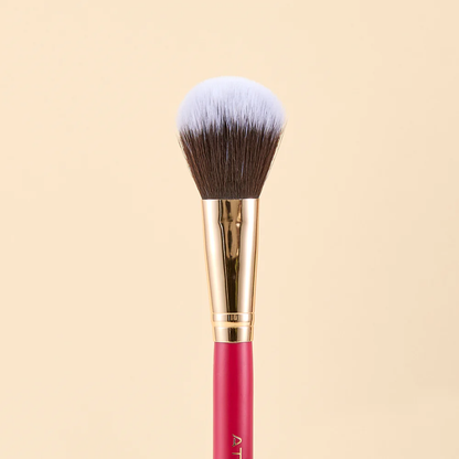 KIT DE BROCHAS SCARLET ROSTRO X9