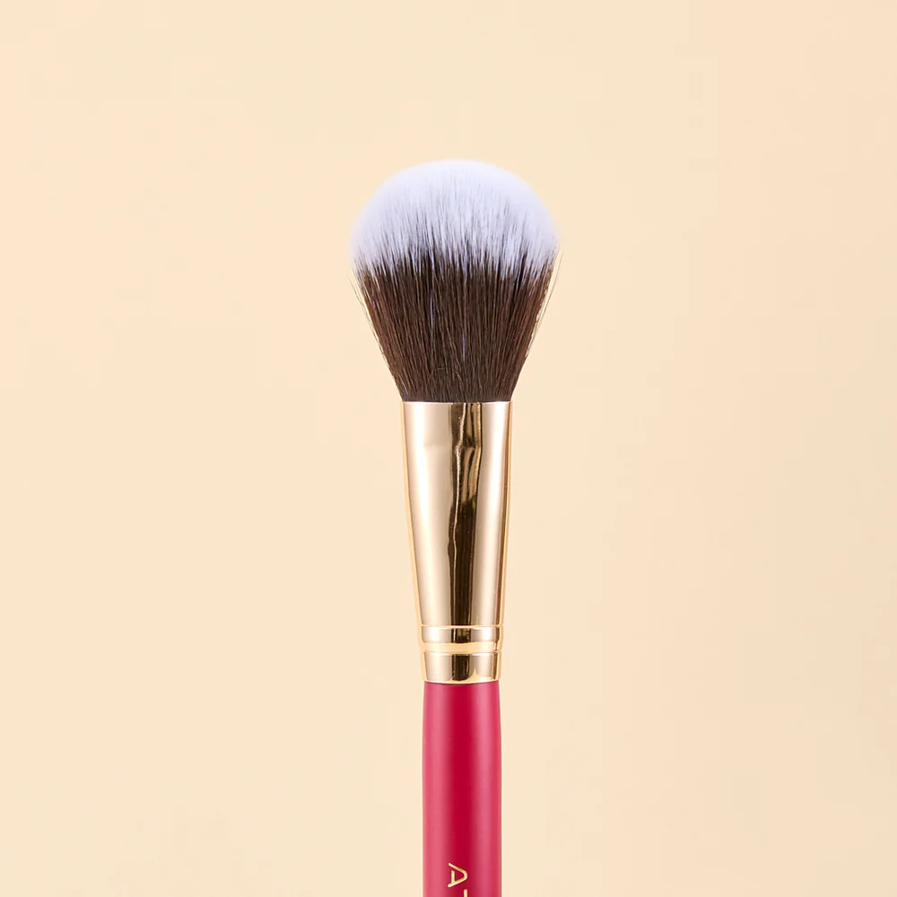 KIT DE BROCHAS SCARLET ROSTRO X9