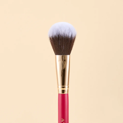KIT DE BROCHAS SCARLET ROSTRO X9